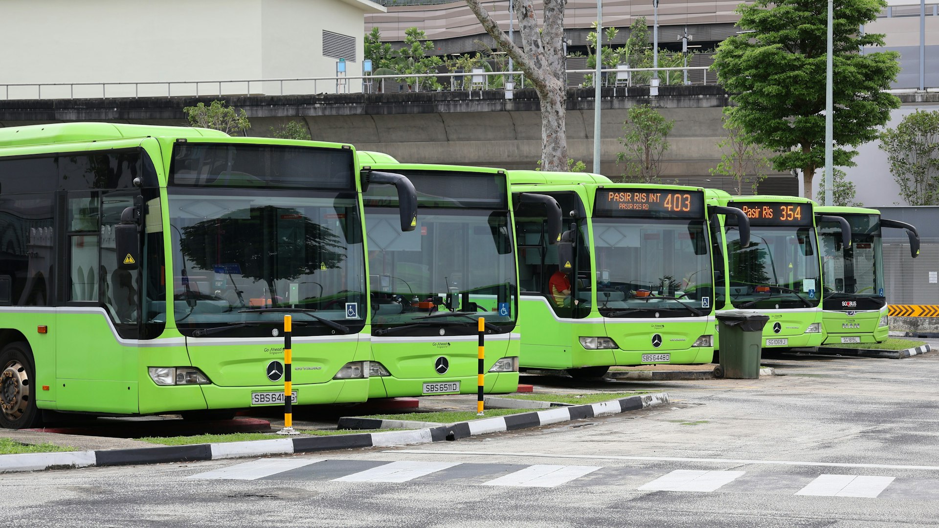 Several green buses parked in a row.
